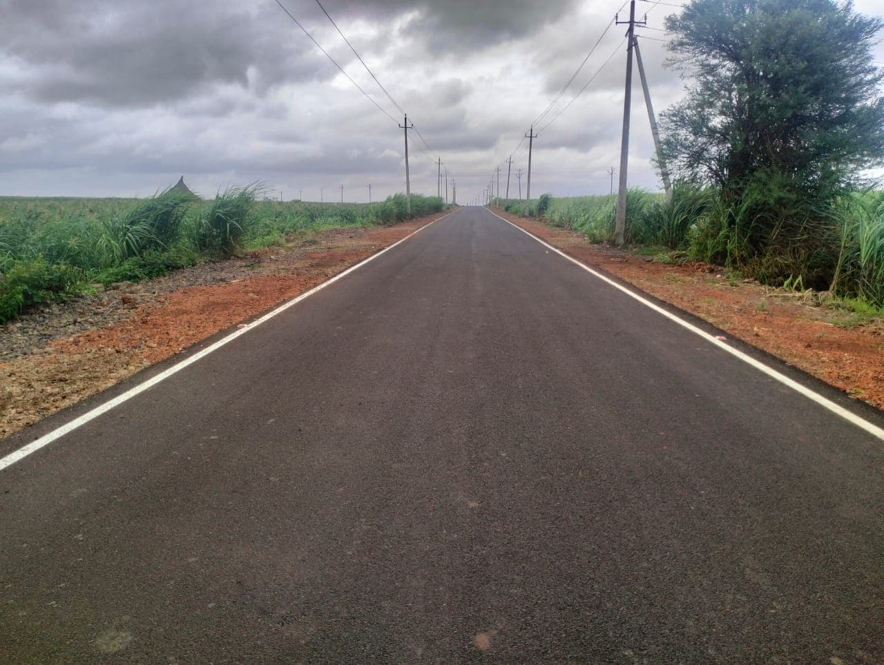 PWD Road Construction - 5